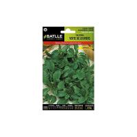 4 Sobres de Semillas de valeriana verte de louviers canónigo de Semillas Batlle. - details 0