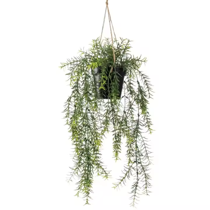 Esmeralda Esparraguera artificial Colgante en MAQUET 50 cm - 1