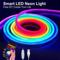 Tiras De Lámparas LED Neón 3/2/1M 5V Silicona Luz De Neón Ropa Sincronización De Música DIY APP MeRGBW Decoración De Pared Y Habitación - details 0