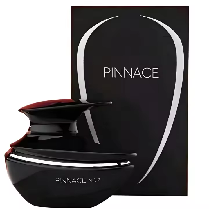 Pinnace Noir de Fragrance World by French Avenue Perfume árabe Hombres *NOVEDAD* Elegante - 100ml - 1