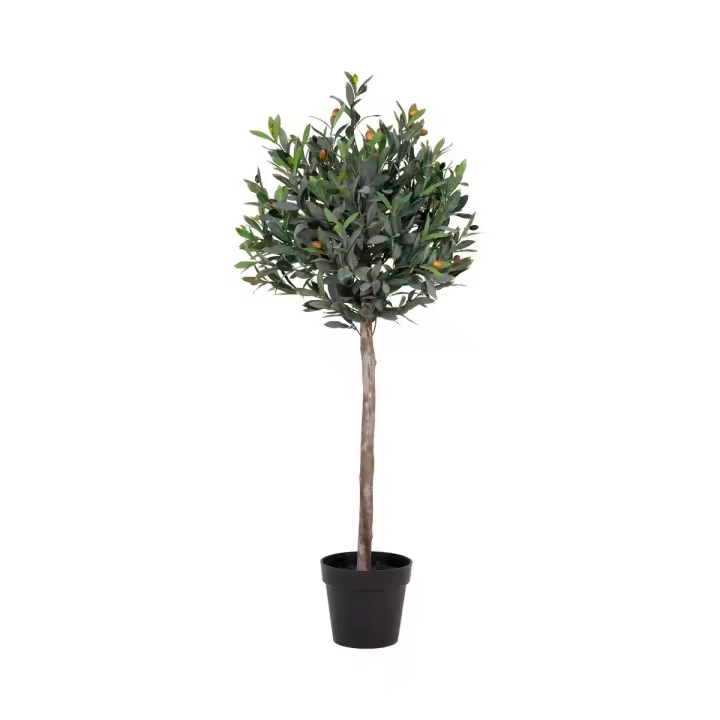 Planta de Oliva Artificial, Polietileno, Verde, 43x47x120 cm - 1