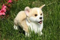 Juguete De Perro Suave De 32CM Muñeco De Peluche Simulación Corgi Juguetes Para Mascotas Animal De Peluche Para Niños - details 4