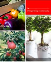 Tijeras De Podar Para Jardín Herramientas Manuales Para Ramas En Macetas Recogida De Frutas Small Scissors Para El Hogar Y Granjas - details 1