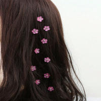 10pcs Accesorios Para El Cabello Con Diseño De Mini Flor Perfectos Para Crear Estilos De Trenzas Y Cuentas Adornadas Para Mujeres - details 0