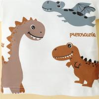 Conjunto De Ropa Para Bebé Niño Dinosaurio De Dibujos Animados 0-3 Años 2PCS Camiseta Corta Blanca Y Shorts Marrón Estilo Deportivo Moda Bonita - details 2