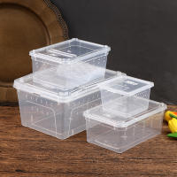 Caja De Cría Para Reptiles Acrílico Transparente 1 Pc Tanque De Tortugas Lagartos Insectos Y Araña Caja De Vitrum Para Mascotas - details 1