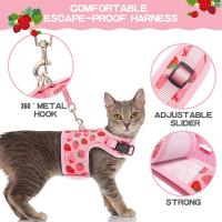 Juego De Correa Y Arnes Para Gato Seguro Ajustable Chaleco Para Gato Joven En Malla Transpirable Rosa Fácil Control Para Caminar Perro - details 5
