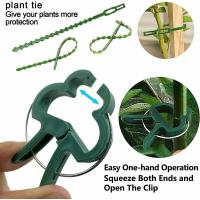 90 Piezas de Soporte de Jardín, Clips de Plantas, Clip de Soporte de Plantas with 30 Piezas de Bridas Ajustables para Plantas, asegurar Plantas Trepadoras (30 Grandes + 30 Bridas) - details 2