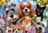 Educa Puzzle 200 piezas  Selfie de Mascotas Educa 19293 - details 1