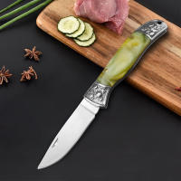 Cuchillo De Afeitar Profesional En Acero Inoxidable Con Mango Plegable Cuchillo De Carne Y Fruta Para Corte De Pescado Y Carne En La Cocina - details 5