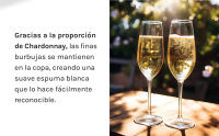 Raimat Brut Nature Chardonnay-Xarel·lo Ecológico - Caja 6 botellas 75cl - details 3