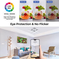 Lámpara De Techo Moderna IRALAN LED Con 3 Modos De Temperatura De Color Protección Para Los Ojos Instalación Fácil Para Habitaciones - details 4