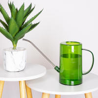 Botella De Riego De 1L Con Mango Para Plantas Herramientas De Jardinería Prácticas Accesorios Para Irrigación En Casa - details 9