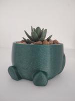 Maceta redonda con brazos y cara alegre - Decoración para el hogar y jardín - 3DRoots - details 0