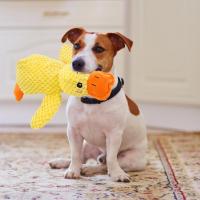 Juguete De Peluche Para Perro Tamaño 3 Compañero De Sueño Pato Resistente a Mordidas Alivio Del Estrés Masticar Dientes Sonido Relajante Para Mascotas - details 12