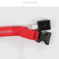 Collar LED Para Perros Ajustable Y Recargable Luminoso Para Noche Anti-Pérdida Correa De Luz Para Pequeños Perros - details 0