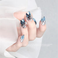 Parches De Uñas Con Patrón De Diamantes Bloque Material Plástico Decoraciones Para Enhanceamiento De Uñas Y Sequinias - details 9
