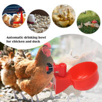 6-36Pcs Copa De Bebida Automática Para Pollos Pato Plástico Fábrica De Pollo Instalación Fácil Dispensador De Alimentos Para Pájaros - details 1
