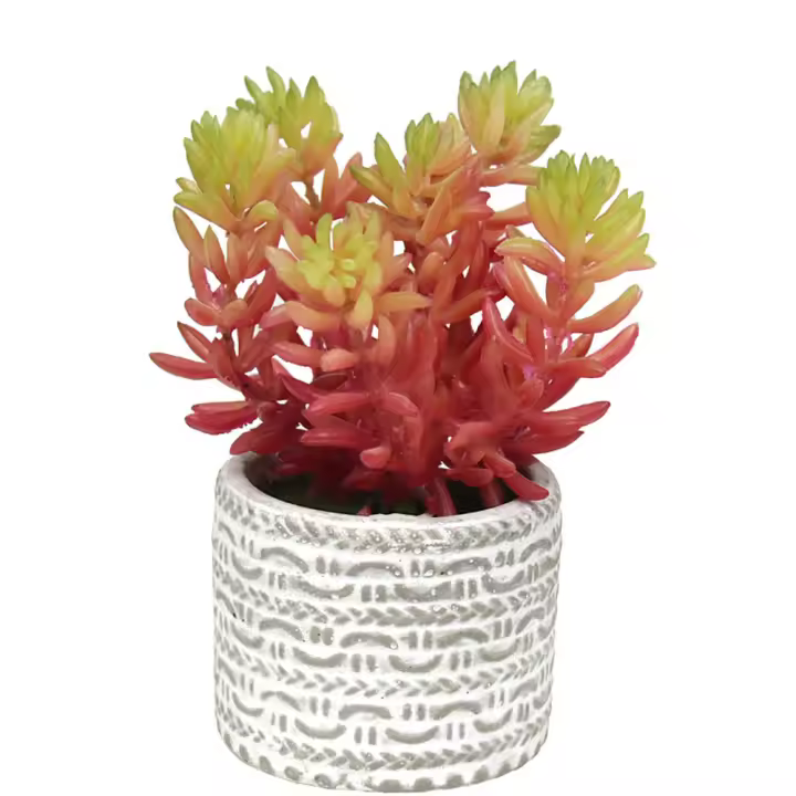 3 piezas Plantas Artificiales, Suculentas Falsas pequeñas - 1