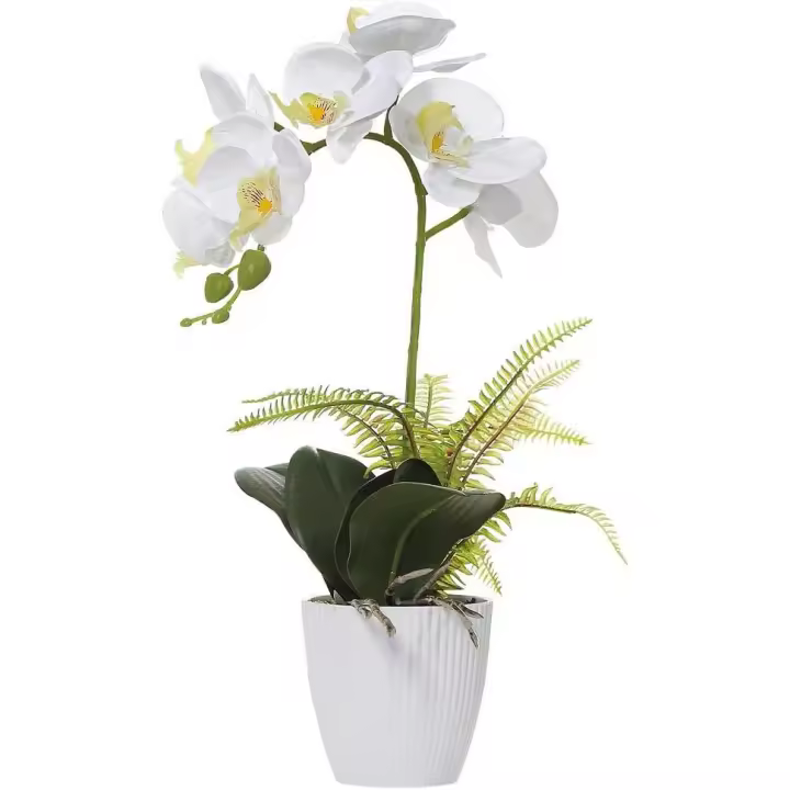 Orquídea Artificial Blanca en Maceta Blanca, Orquídea Phalaenopsis Blanca Decoración de Interior de Baño - 1