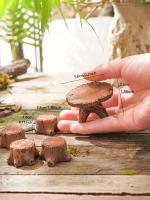 Accesorios De Jardín En Miniatura De Setas Y Árboles Resina Decorativa Para Paisaje Creativo Y Manualidades - details 1