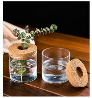 Maceta Creativa Para Plantas Hidroponicas Miniatura En Vidrio Transparente Decorativa Para Casa Y Salon Uso En Mesas - details 12