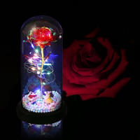 Regalo De Flores De Rosa Para Mujeres En Acrílico Con Domínio Luz Regalo Eterno De Flores Colores Para Mamá Y Fiesta De San Valentín - details 11