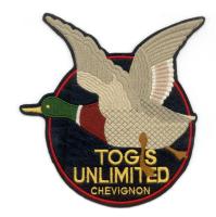 POLO CHEVIGNON TOGS UNLIMITED. MANGA CORTA. PARA HOMBRE - details 2
