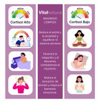 Magnesio Complex Vitalnatura | Citrato 1593 mg + Bisglicinato 600 mg (375mg Elemental) + Vitaminas B5, B6 y Ashwagandha Pura | Potencia y Energía Natural, Reduce el Estrés y el Cortisol, Músculos Fuertes, Sueño Reparador y Relajante | 240 Cápsulas - details 1
