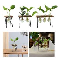 Vaso De Flor De Vidrio Moderno Para Arreglo Floral Y Propagación De Plantas Decoración De Sala De Estar Y Casa Rústica Sin Marca Proveniente De China Continental - details 5