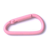 iYOE 5pcs/Lot Carabiner Hook 45x24mm Mix D Colorido Aleación De Metal Clip Para Hacer Joyería Llavero Conector DIY Encuentros - details 6