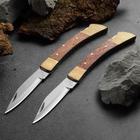 Cuchillo Plegable De Acero Inoxidable De Alta Dureza Portátil EDC Para Cocina Y Uso Doméstico Cuchillo De Frutas Con Mango De 9.8 Cm - details 8