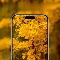 5PCS Protector De Pantalla De Vidrio Templado Para Cámara De iPhone 16 pro 15 pro Mini plus Lente Film Para iPhone 16 pro Max - details 5