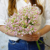 1 Rama De Gypsophila Para Novia En Vaso De Plástico Decoración De Hogar Para Bodas Plantas Artificiales Ornamento De Florero - details 5