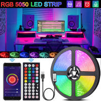 Tira De Luces LED RGB 5050 Flexible 5V Con Control Remoto Infrarrojo USB Para Festivales Fiestas TV Mesa Dormitorio - details 0