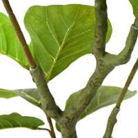 vidaXL Árbol ficus artificial 30 hojas verde 125 cm - details 3