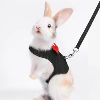 Correa De Malla Transpirable Para Mascotas Pequeñas Conejos Y Ardillas Ideal Para Cachorros Y Animales Domésticos - details 4