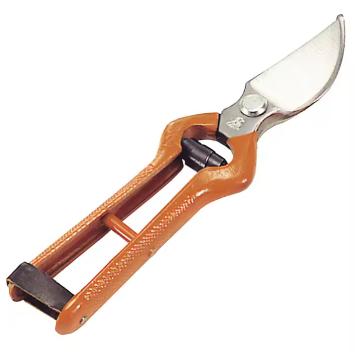 Tijeras Podar Forjada Curva 1 Mano 21 cm. - 1