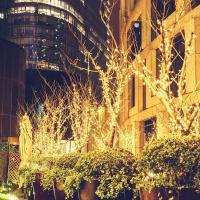 Luces De Navidad De Cadena 10m 20m Con Enchufe Guirnalda De Hadas LED Para Decoración De Hogar Árbol De Navidad Boda Fiesta - details 11