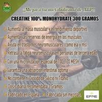 EFNE NUTRICIÓN DEPORTIVA CREATINA 100% MONOHIDRATO 100 MESH FORMATO EN POLVO 300 gr, MÁXIMA MICRONIZACIÓN, SIN DIÓXIDO DE SILICIO NI DE TITANIO - details 1