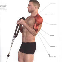 Cuerda De Agachamiento Para Tríceps Accesorio De Gimnasio Para Músculos De Braza Y Hombro Manijas De Face Pull Para Entrenamiento De Fuerza - details 2