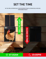 Puerta Automática Para Pajarera Con Timer Y Inducción Antipinch Impermeable Para Granjas De Pollos Puerta Eléctrica Para Casa De Gallos - details 1