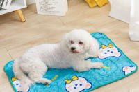 Alfombra De Descanso Para Mascotas Anti Deslizamiento Cómoda Y Transpirable De Algodón Para Perros Y Gatos Matriz De Verano Para Dormir - details 4