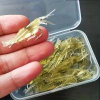 Goture Arrugas De Camarón Para Agua Dulce Y Salada Con Anzuelo Fino Y Abalorios Set De 20pcs Lanzadores De Señalización Luz - details 0
