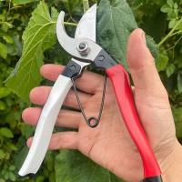 Tijeras De Podar De Acero Inoxidable Premium Para Bonsái/árboles Frutales/ Flores Corte De Rama Manual Plegable Y Duradero - details 4
