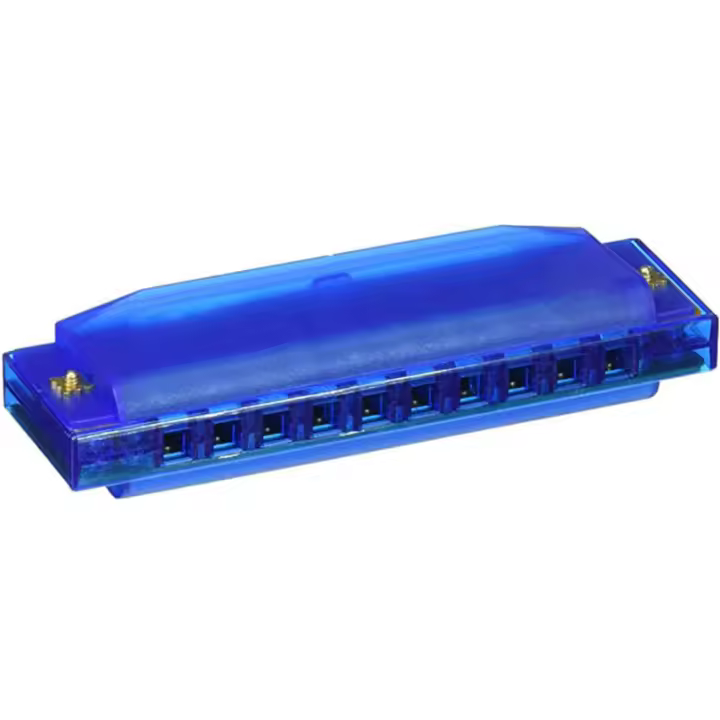 Harmonica Diatónica De 10 Agujeros En Clave De C Para Niños Con Estuche Plástico Regalo De Cumpleaños Para Pequeños - 1