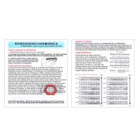 Harmonica Blues De 10 Agujeros 20 Aros Para Principiantes Con Placa De Arcilla De Cobre Marrón / Negro Regalo De Órgano De Bocina - details 13