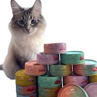 12 Latas Comida Húmeda Pollo y Cordero Terra Felis | Alta Calidad para Gatos - ANIMALUJOS - details 0