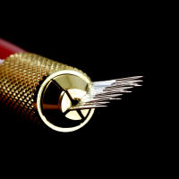 50pcs Desechables Y Estériles Microblading Agujas De Cejas 2 Filas 15Pins Maquillaje Permanente Tatuaje De Bordado - details 10