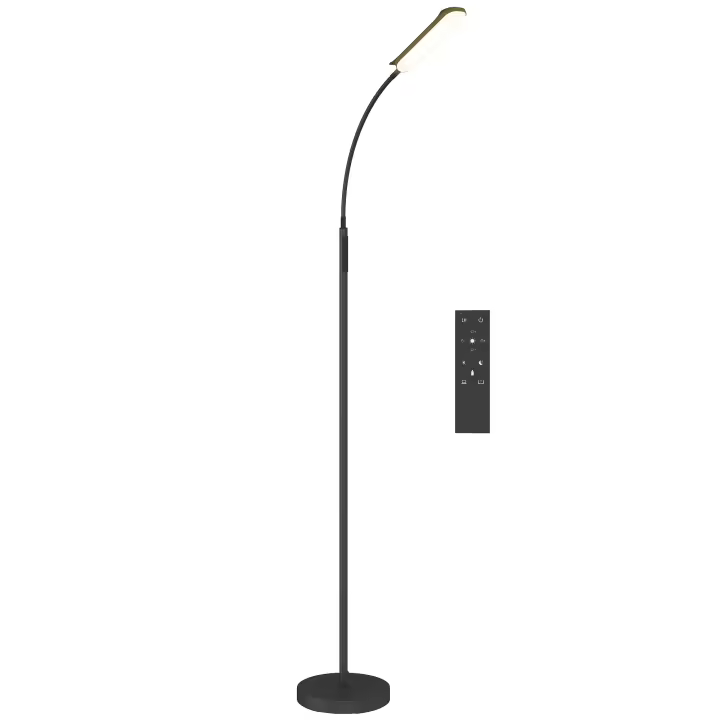 HOMCOM Lámpara de Pie LED Regulable Lámpara de Pie para Salón con Temperaturas de Color Ajuste Continuo Control Remoto y Táctil Temporizador de 60 Minutos Función Memoria Cuello Giratorio Negro - 1